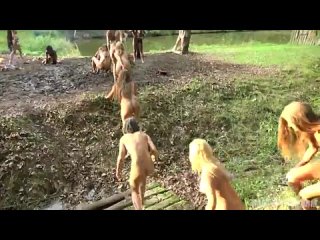 video by pink baby elephant